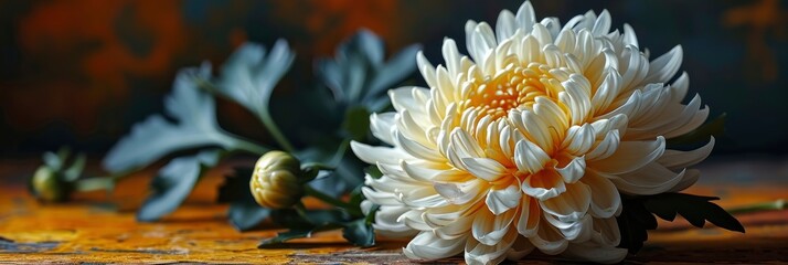 Bright Petals Lush Chrysanthemum On Yellow, Banner Image For Website, Background, Desktop Wallpaper