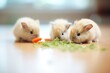 rabbits nibbling on fresh carrots