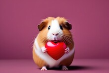 Funny Animal Valentines Day, Love, Wedding Celebration Concept Greeting Card - Cute Guinea Pig Holding A Red Heart, Isolated On Red Background