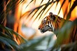 silhouette of tiger at sunset in jungle