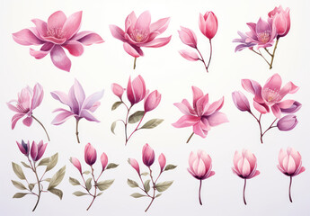 Wall Mural - Delicate Pink Magnolia Blossom in a Botanical Garden: A Romantic Watercolor Illustration on a Floral Invitation Card