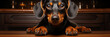Closeup of dachshund dog on a isolated brown wood background.Animal wide web banner