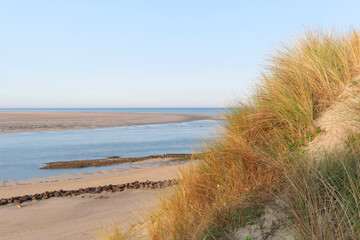 Canvas Print - Sand dunes in the Authie bay. Hauts-de-France region