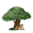 © Ekaterina - Watercolor hiking composition oak tree backpack