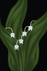 Wall Mural - Lily of the Valley