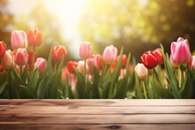 Empty Wooden Board With Red And Pink Tulip Spring Flowers In Background