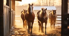 A Herd Of Horses Stepping Out Of The Stable On A Frosty Winter Day. Generative AI