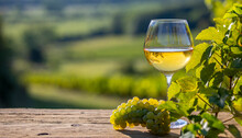Verre de vin blanc dans les vignes et grappe de raisin dans un vignoble en France.