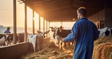 A Young Farmer In Blue Overalls Thoughtfully Feeding Straw To Calves On His Farm. Generative AI