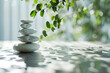 Geisteszustände, Meditation, Feng Shui, Entspannung, Natur, Zen-Konzept, Zen Steine