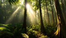 Dark Rainforest Sun Rays Through The Trees Rich Jungle Greenery Atmospheric Fantasy Forest 3d Illustration