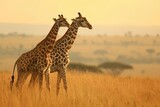Fototapeta Zwierzęta - An exotic animal safari in africa with guided tours and wildlife viewing