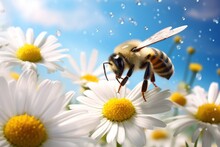  A Bee Sitting On Top Of A White Flower Next To A Bunch Of White And Yellow Daisies With Bubbles Of Water On The Top Of The Petals And A Blue Sky In The Background.