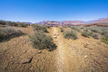 Wall Mural - hiking the tonto trail in the grand canyon national park, arizona, usa