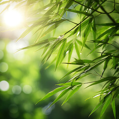  Fresh green bamboo leaves frame against a blurred sunny backdrop, creating a nature scene with Asian spirit and ample copy space