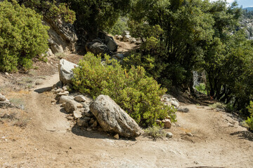 Wall Mural - Switchback on Trail Heading Up Miguel Meadows in Yosemite