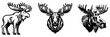 Set of Moose black silhouettes, vector illustration.