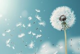 Fototapeta Dmuchawce - A dandelion with fluttering seeds in a windy sky.
