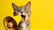 Cat screams with a yellow loudspeaker on a yellow background.