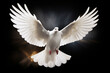 White dove for peace or freedom symbol black background, Generative AI