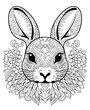 coloring page for adults, mandala, Californian rabbit image, white background, clean line art, fine line art