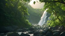 Waterfall In The Forest