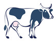 Krowa ilustracja