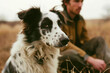 A man near his border collie dog with