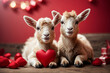 Funny goat valentines background