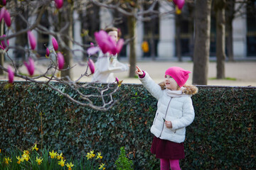 Wall Mural - Preschooler girl looking at pink magnolia in full bloom on a street of Paris, France