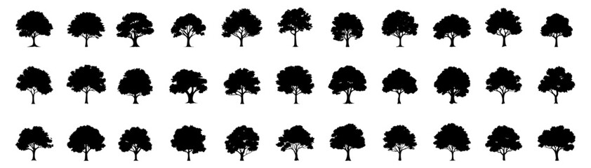 Wall Mural - set of silhouette of tree. forest trees evergreen. isolated on white background.