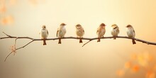 A Flock Of Five Birds Are Singing On The Branch, Vignetting Photography, Dadaism, 16k, High Detail 