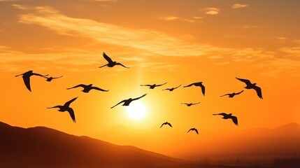 Silhouette of migratory bird flying at sunset in the sky. bright orange sun landscape 