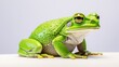  a green and white frog sitting on top of a white table next to a white wall and a gray wall behind it.