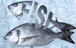 Fresh fish, Dorado fish, Creative text Fish on a background of ice cubes.