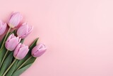 Fototapeta Tulipany - pink tulips on a pink background