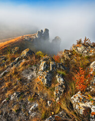 Wall Mural - Beautiful autumn landscape at sunrise. picturesque river canyon. nature of Ukraine