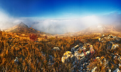Wall Mural - Beautiful autumn landscape at sunrise. picturesque river canyon. nature of Ukraine