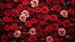 natural fresh red roses flowers pattern wallpaper, top view, red rose flower wall background
