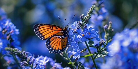 Poster - Monarch butterfly perched on a vibrant blue flower. Perfect for nature enthusiasts and garden-themed designs