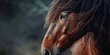 A detailed close-up shot of a horse's face with a blurry background. This image can be used to depict the beauty and majesty of horses or to add a touch of elegance and grace to any design