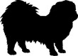 Pekingese Dog silhouette breeds dog breeds dog monogram logo dog face vector