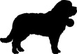 Saint Bernard Dog silhouette breeds dog breeds dog monogram logo dog face vector