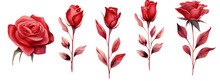 Watercolor Elements Red Roses, And Flowers On A White Background