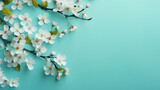 Fototapeta Perspektywa 3d - Beautiful spring nature background with lovely blossom on green background
