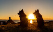 Dogs in the sunset 