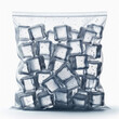 ice cubes in a clear plastic bag
