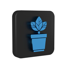 Wall Mural - Blue Flowers in pot icon isolated on transparent background. Plant growing in a pot. Potted plant sign. Black square button.