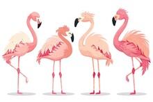 Very Childish Cute Kawaii Flamingo Clipart Vector, Organic Forms With Desaturated Light And Airy Pastel Color Palette. Great As Nursery Art With White Background.