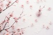 a background for a concept of tender spring. scattered white and pink cherry and apple tree branches and blossom on white surface